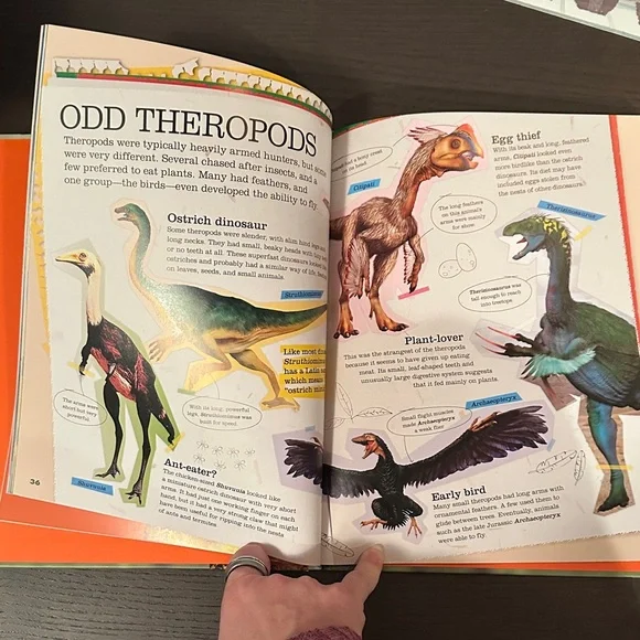 Smithsonian Everything You Need to Know about Dinosaurs - Picture 4 of 4